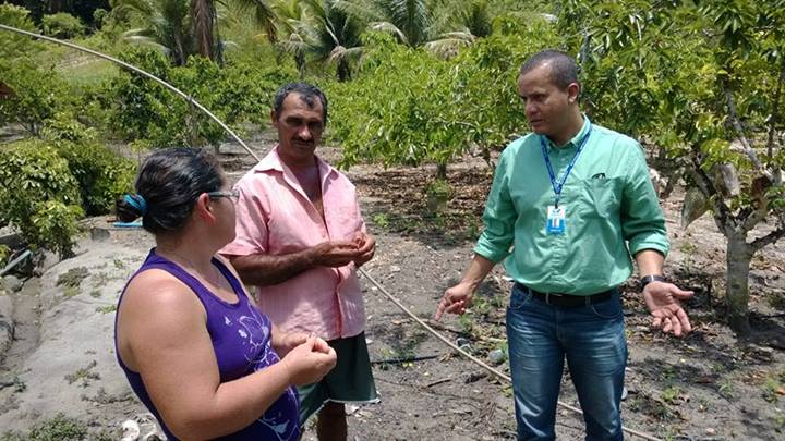 Convênio entre Desenvolve e BID beneficia fruticultores de Alagoas