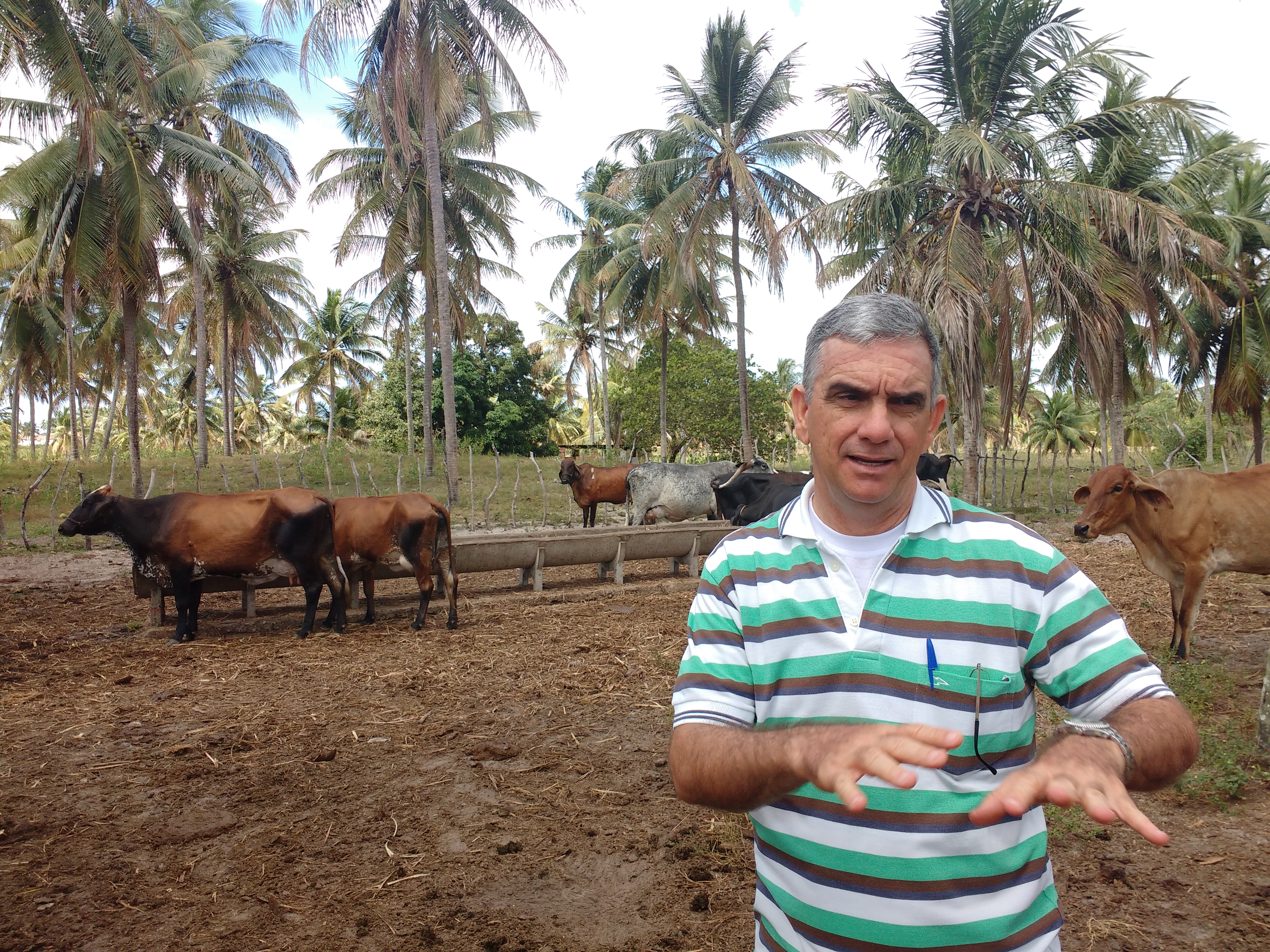 Nova liberação deverá beneficiar mais produtores de leite de Piaçabuçu